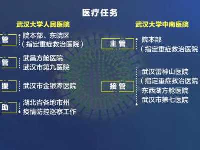武汉大学面临两大挑战？学业、毕业、就业都要延迟吗？