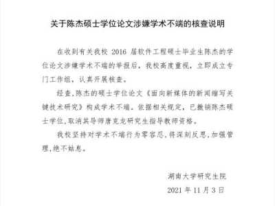 湖南大学通报论文抄袭事件：撤销硕士学位，取消导师指导资格