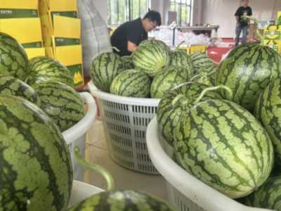 “小皇冠”的新目标：金山→香港