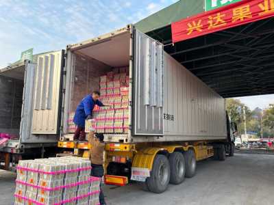 新春走基层丨“东南亚水果快线”开进不起眼的山区小城
