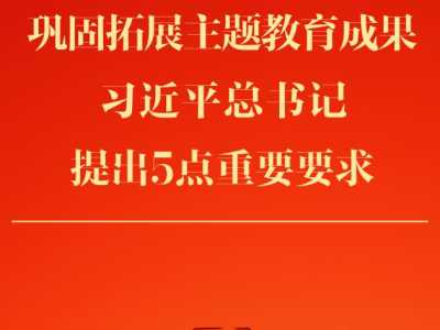 巩固拓展主题教育成果，习近平总书记提出5点重要要求