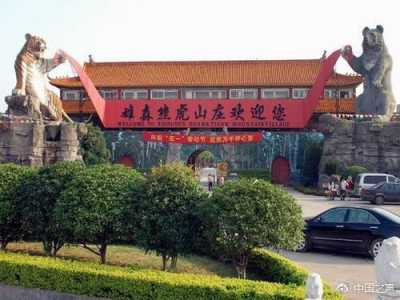 记者探访桂林“咬死人”虎庄  家属：人怎么死的都不知道