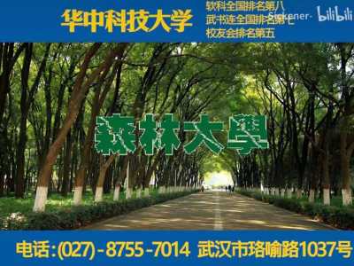 “野猪小蛇随你撸”，华中科大学生自制“土味招生广告”走红