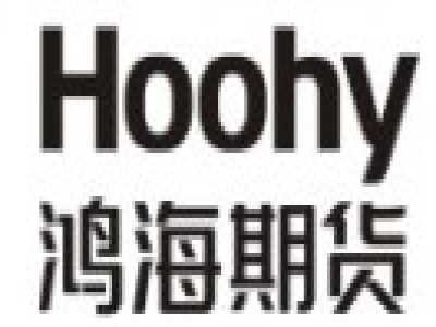 广东鸿海期货预约开户流程