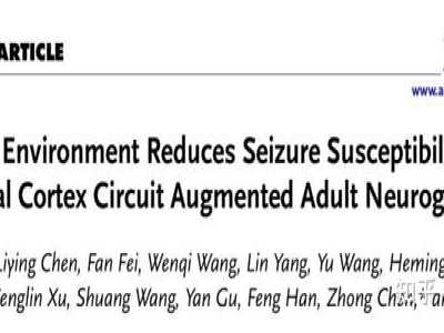 Adv Sci︱浙江中医药大学汪仪/陈忠团队揭示丰富环境降低癫痫发作易感性的作用机制