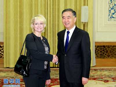 汪洋会见瑞士联邦议会国民院议长莫雷